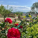 Tringa Guesthouse - Mrizi I Zanave